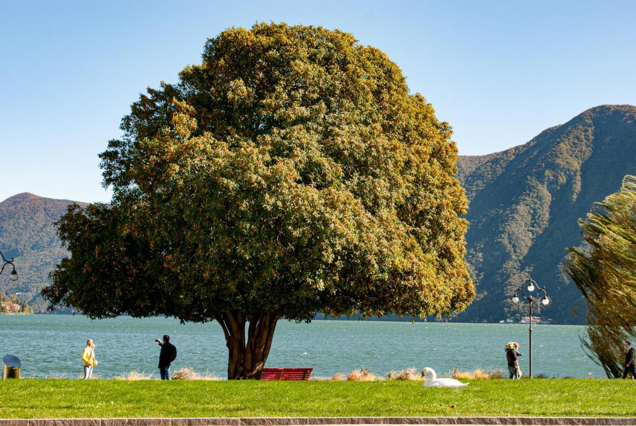 Major Sisters, Appartamento Vista Lago Di Lugano ポルト・チェレージオ エクステリア 写真